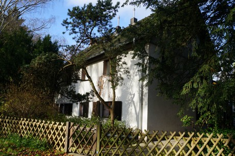 lindenthal