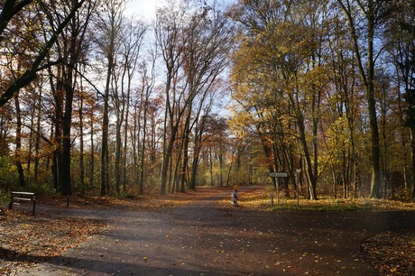 lindenthal