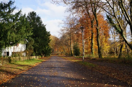 lindenthal
