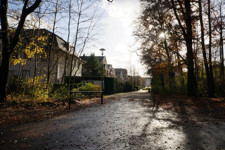lindenthal