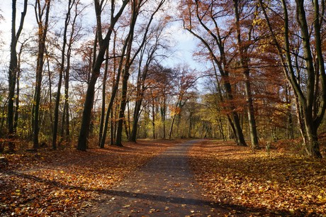 lindenthal