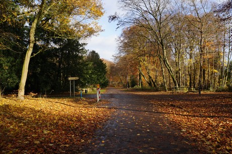 lindenthal