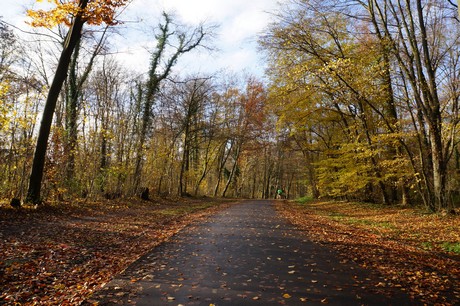 lindenthal