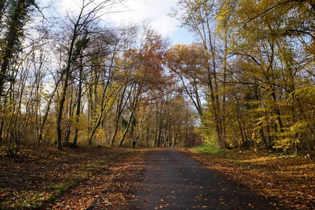 lindenthal