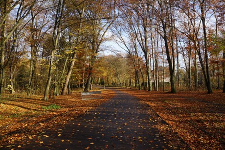 lindenthal