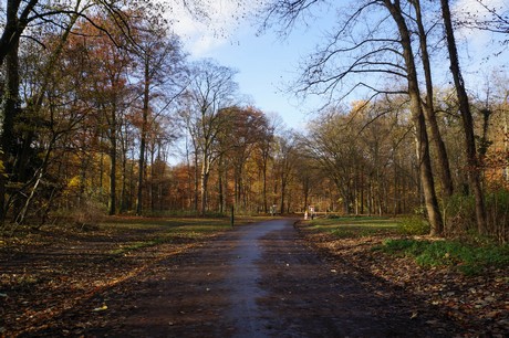 lindenthal