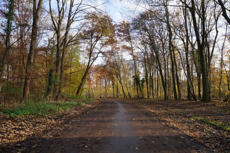 lindenthal