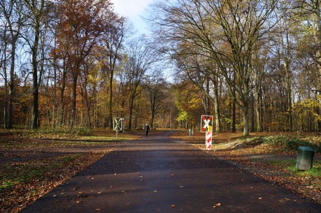 lindenthal