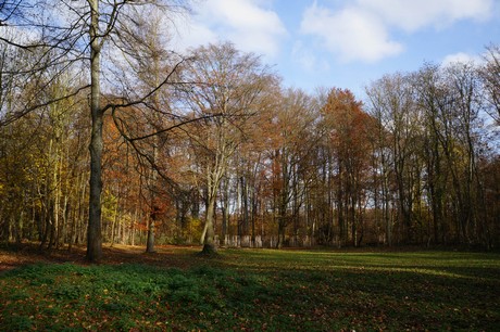 lindenthal