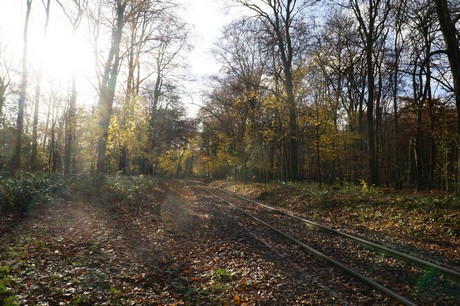 lindenthal