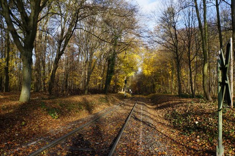 lindenthal