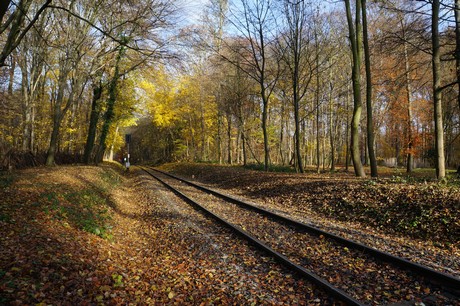 lindenthal