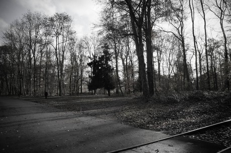 lindenthal