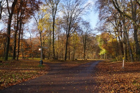 lindenthal