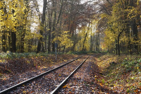 lindenthal