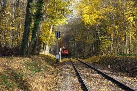 lindenthal