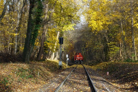 lindenthal