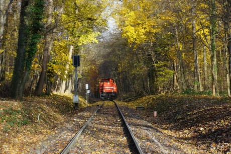 lindenthal