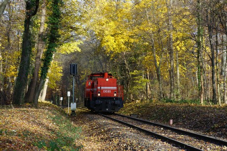 lindenthal