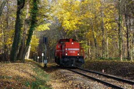 lindenthal