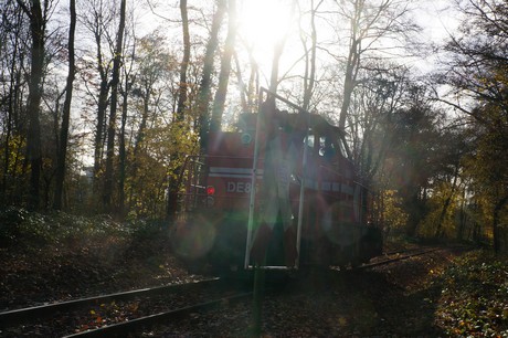 lindenthal