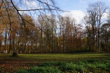 lindenthal