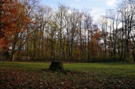 lindenthal