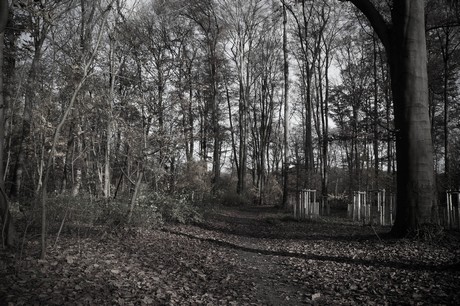 lindenthal