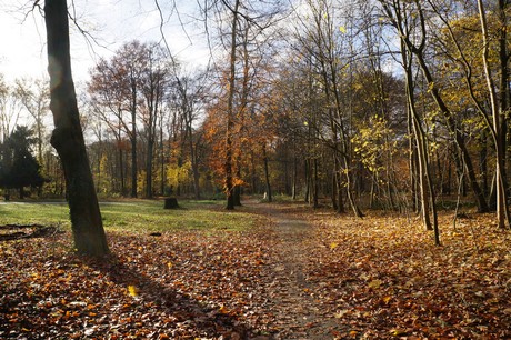 lindenthal