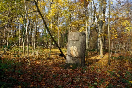 lindenthal