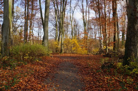 lindenthal
