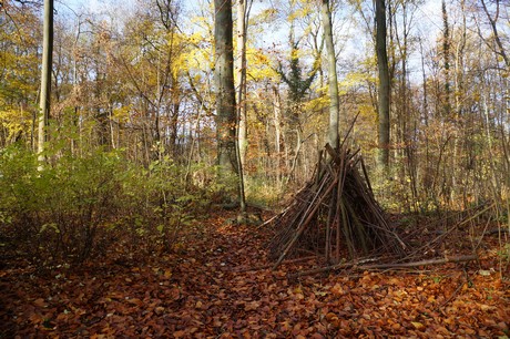 lindenthal