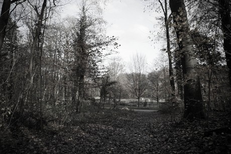 lindenthal
