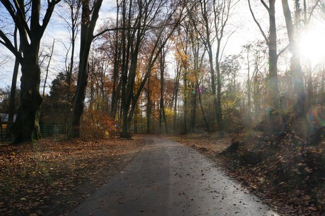 lindenthal
