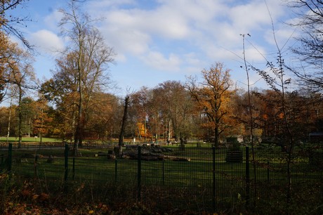 lindenthal