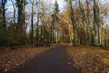 lindenthal