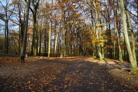 lindenthal