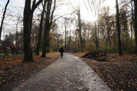 lindenthal