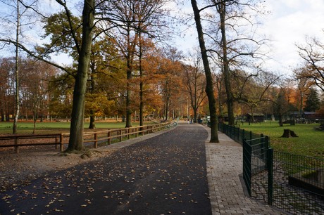 lindenthal