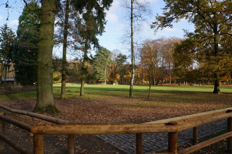 lindenthal