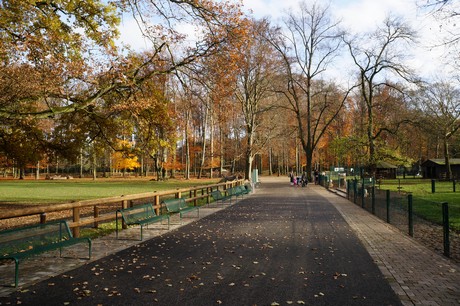 lindenthal
