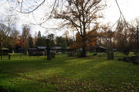 lindenthal