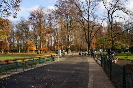 lindenthal