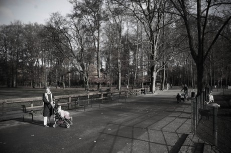lindenthal