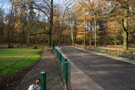 lindenthal