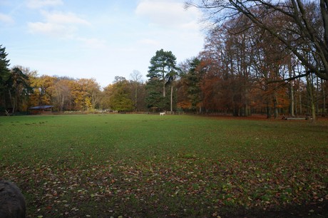 lindenthal
