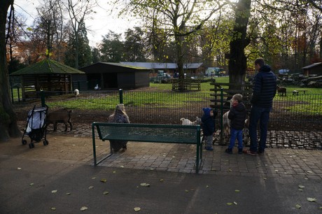 lindenthal