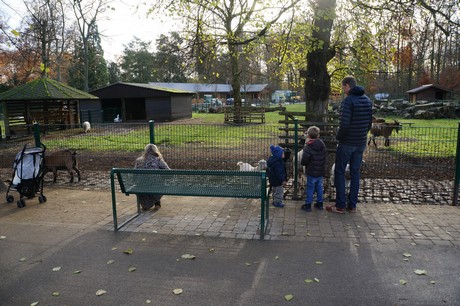 lindenthal