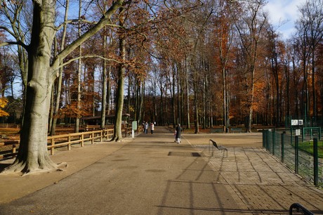 lindenthal