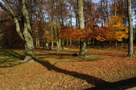 lindenthal